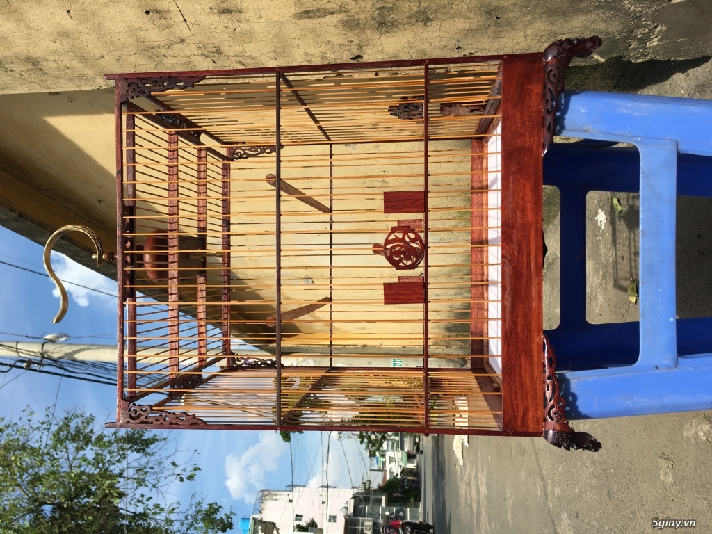Chuyên sĩ lồng chim võ tường - 1