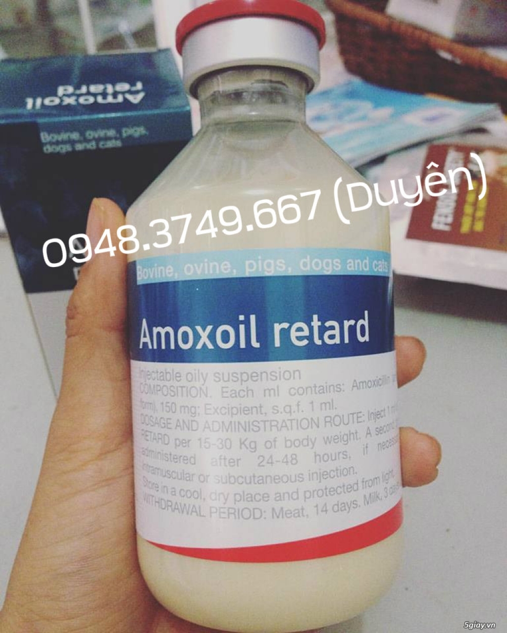 AMOXOIL RETARD 250ml - DIỆT KHUẨN NHANH - 3