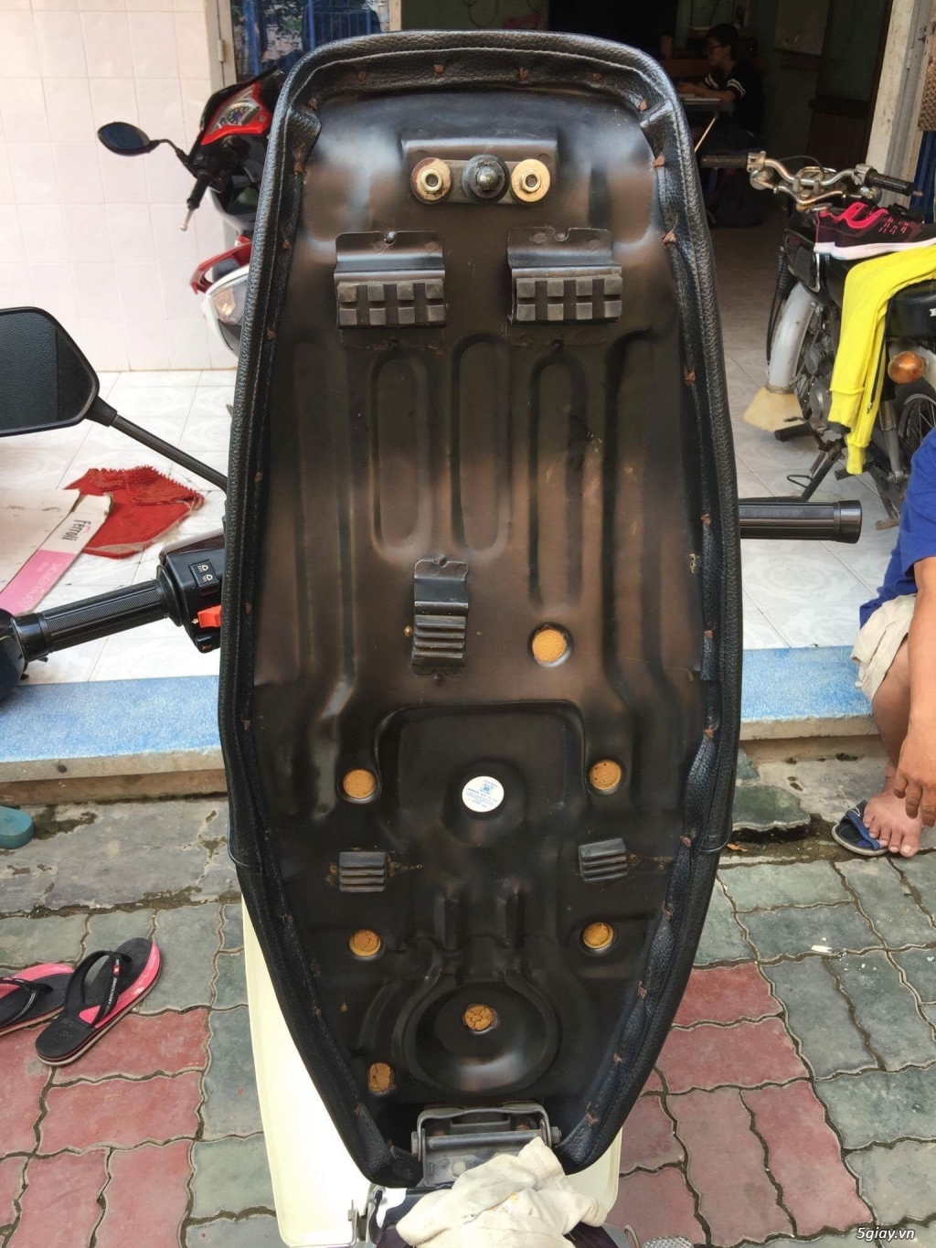 Dream cổ zin từng con ốc - 12