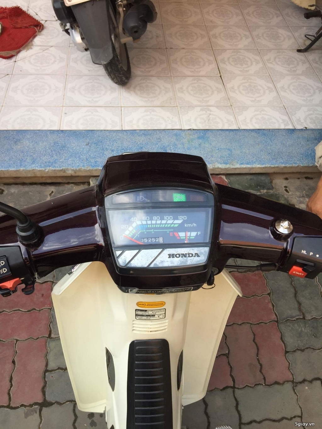 Dream cổ zin từng con ốc - 13