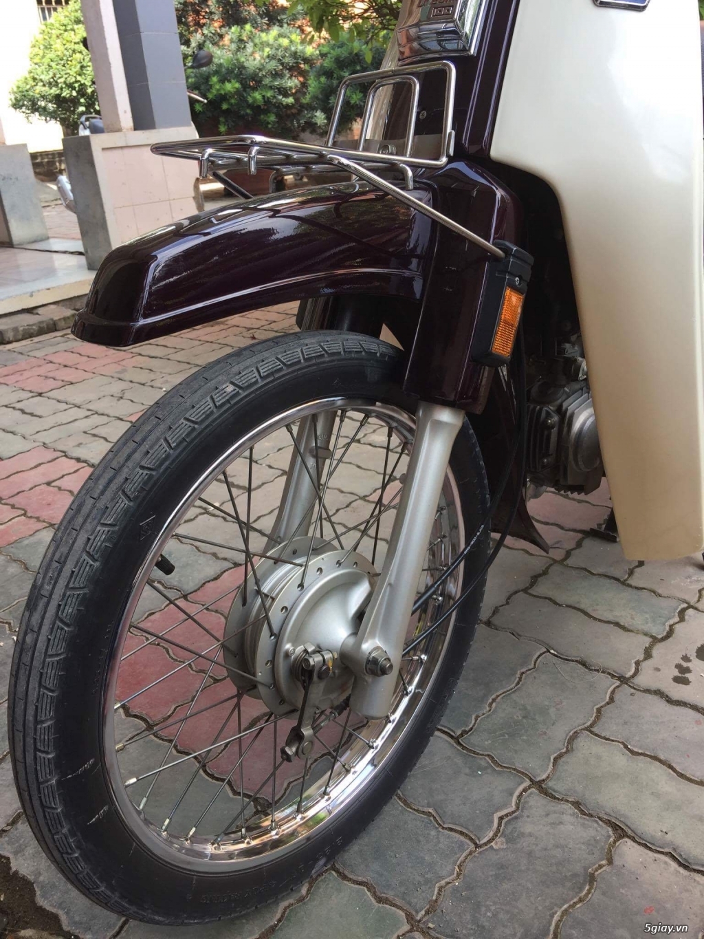 Dream cổ zin từng con ốc - 9