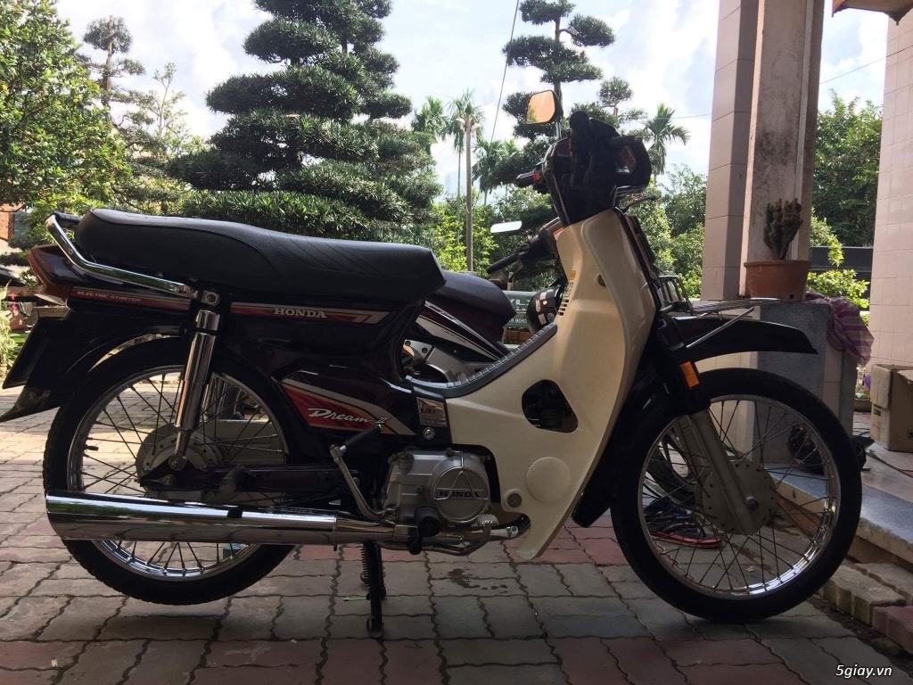 Dream cổ zin từng con ốc - 4