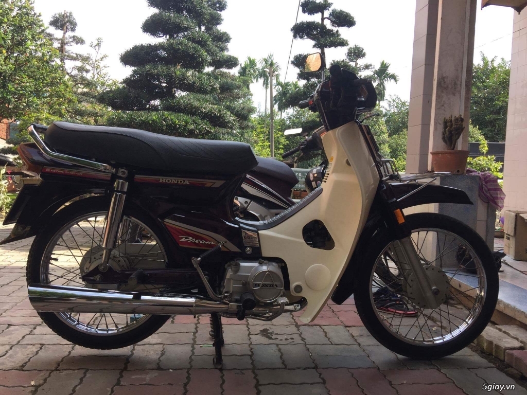 Dream cổ zin từng con ốc - 1