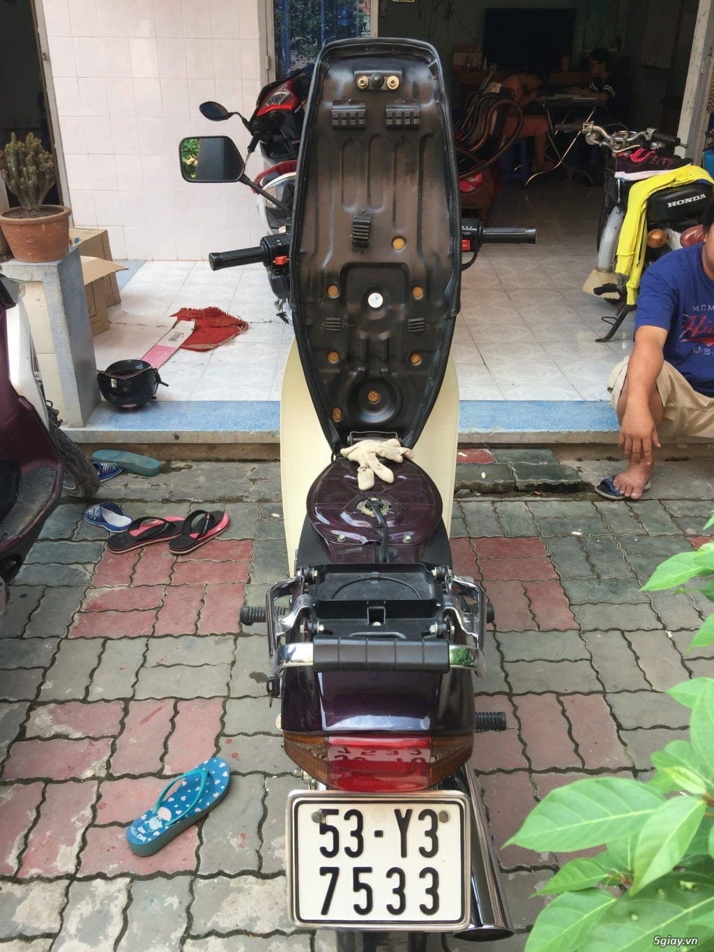 Dream cổ zin từng con ốc - 14