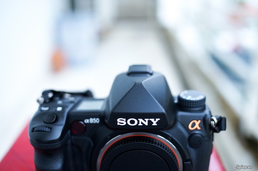 SONY A850 SƯU TẦM 99,9% 2K SHOTS, CARL ZEISS 24 70 2.8 ZA SSM 99% - 5