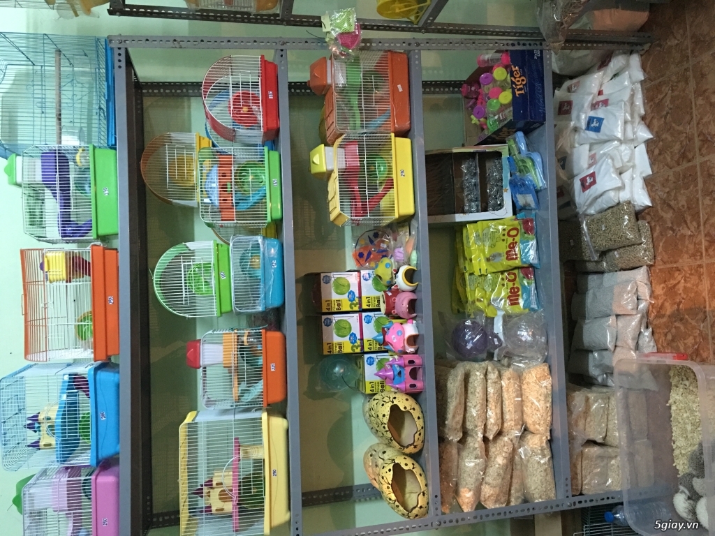Sóc,nhím,hamster,thỏ,bọ,đuôi mập,...sỉ lẻ ship toàn quốc!