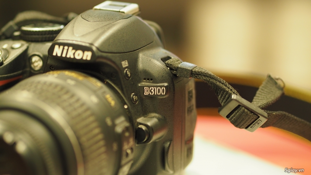 Nikon D3100 TPHCM - 2