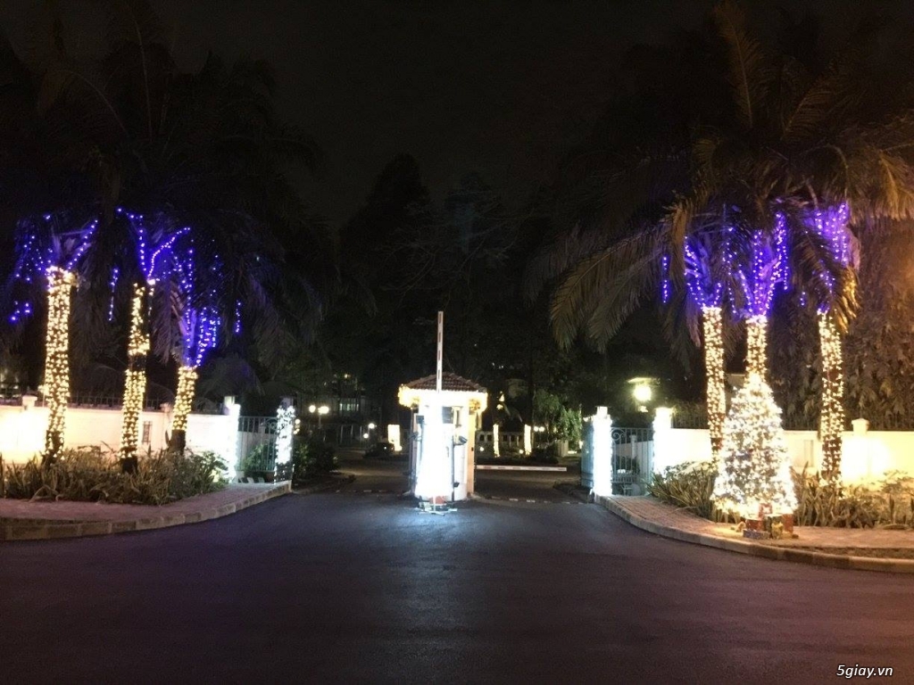 Vẽ Tranh Kính Trang Trí Tết - 21