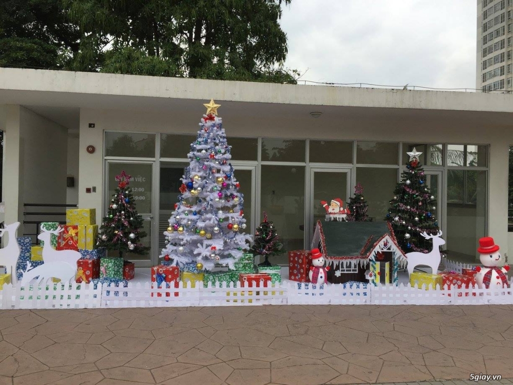 Vẽ Tranh Kính Trang Trí Tết - 1