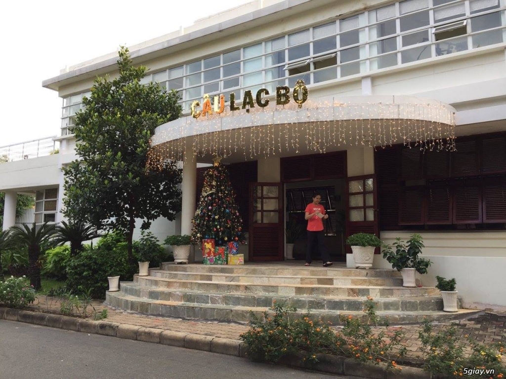 Vẽ Tranh Kính Trang Trí Tết - 11