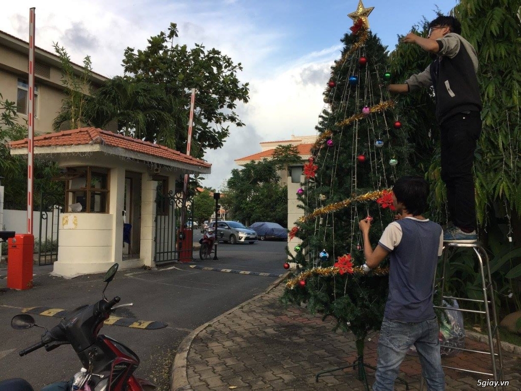 Vẽ Tranh Kính Trang Trí Tết - 3