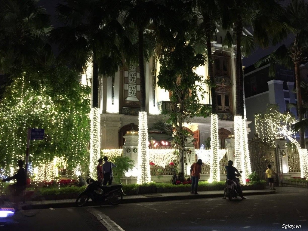 Vẽ Tranh Kính Trang Trí Tết - 2