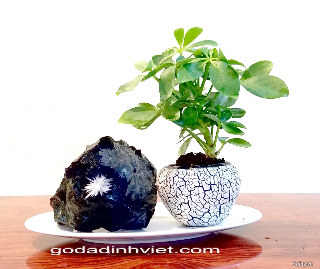Siêu phẩm tôn vinh nơi làm việc,nhà ở cho Bạn !