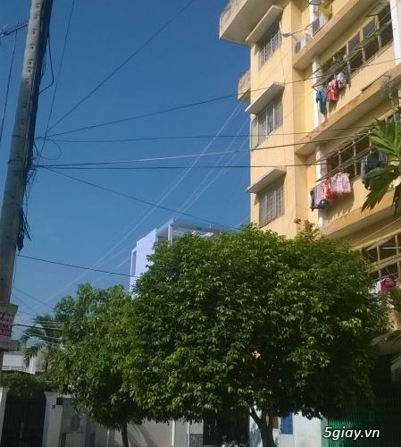 Nhà nguyên căn chung cư Bùi Minh Trực Q8