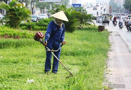 Tuyển nhân viên cắt cỏ bằng máy tại Bình Tân