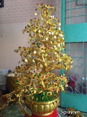 Cây cành vàng lá ngọc - 1