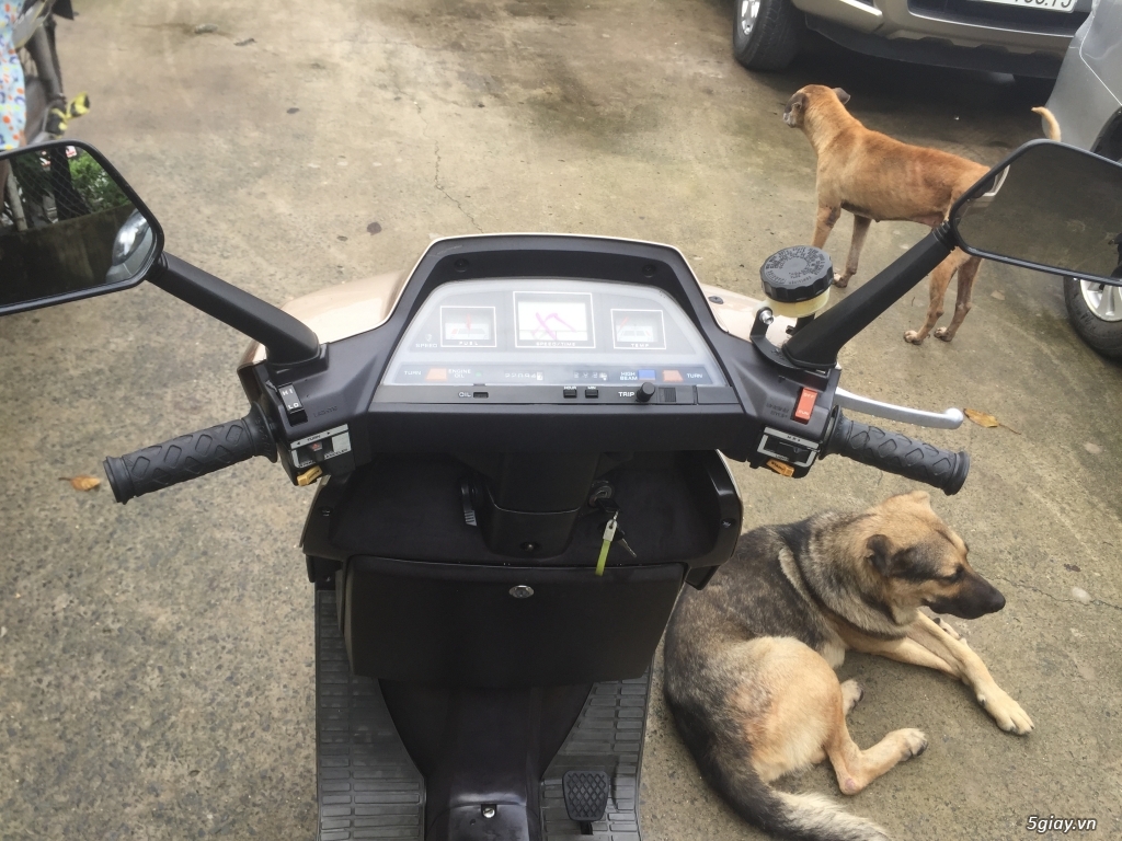 Honda Spacy 250 lengkeng như mới - 8