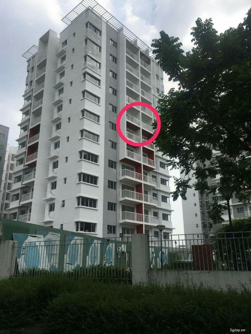 [ Tân Phú ] Căn Hộ khu Ruby có View cực đẹp. - 7