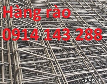 Lưới hàng rào sơn tĩnh điên D5, D6, lưới hàng rào mạ kẽm  D5(50*150)