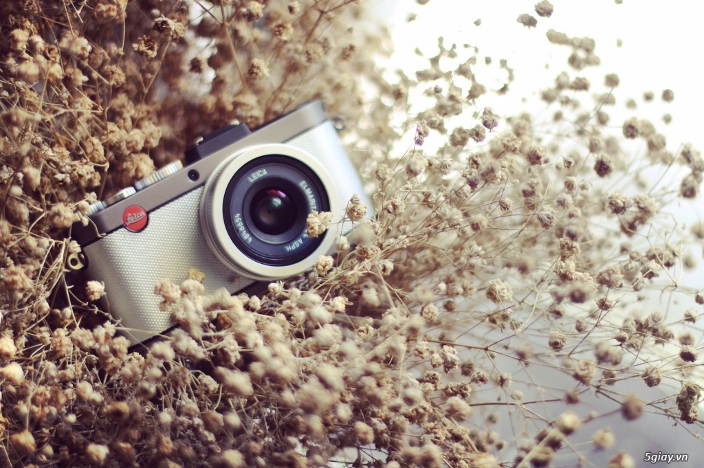 Cần bán: Leica X- E (Typ 102) - 6