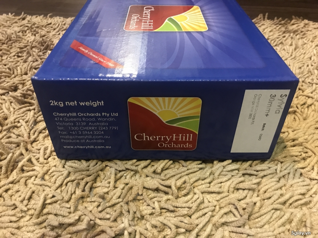 Cherry úc hàng nhập - 3