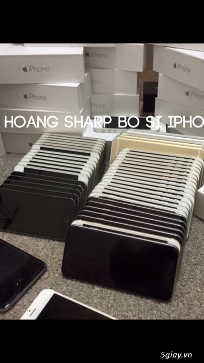 Hoangsharp Chuyên bỏ sỉ iphone x iphone 7 iphone 6s iphone 6 plus - 3