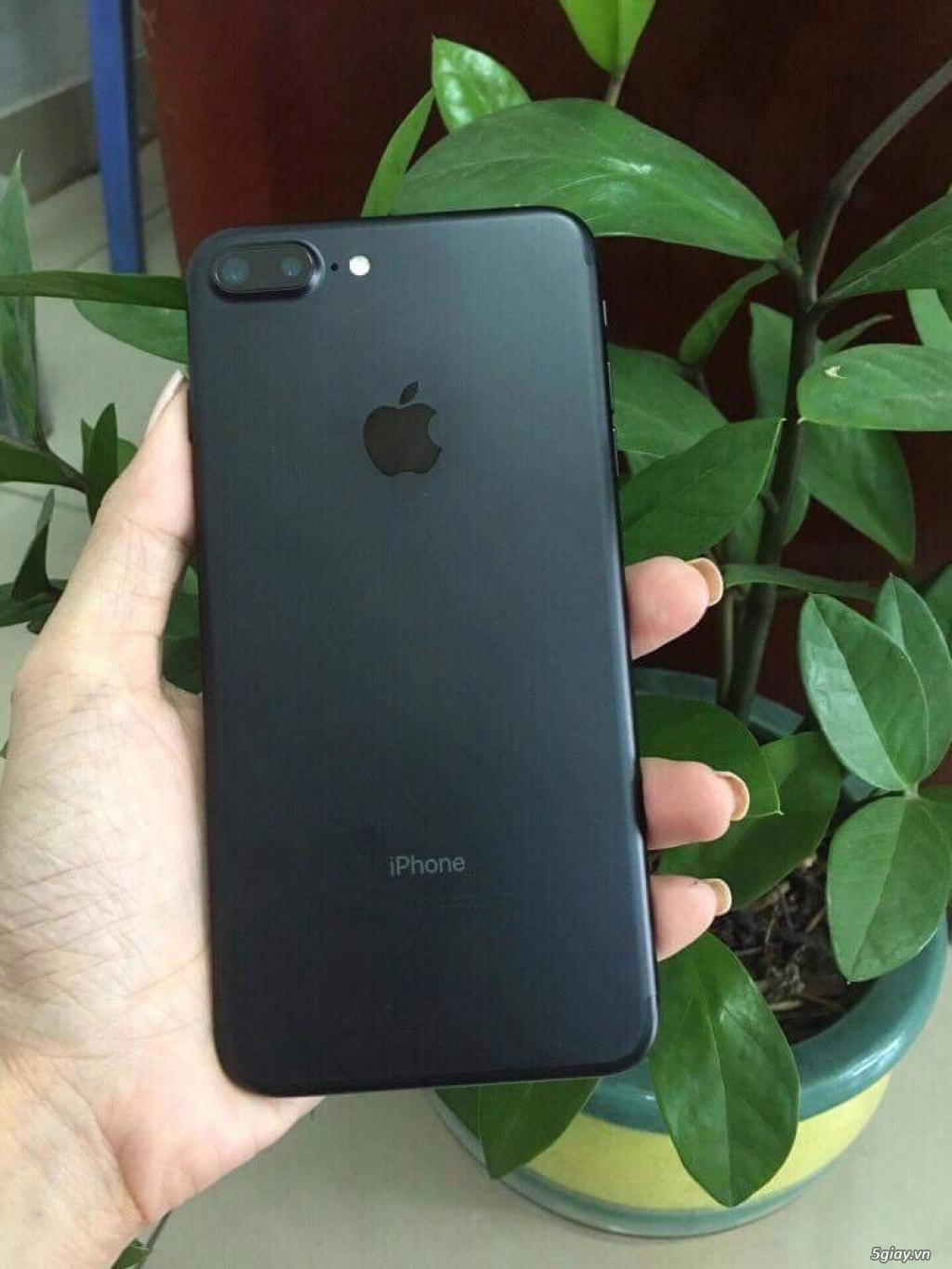 Iphone 7 plus 128gb giá 15,5 bao mới bao test đen nhám
