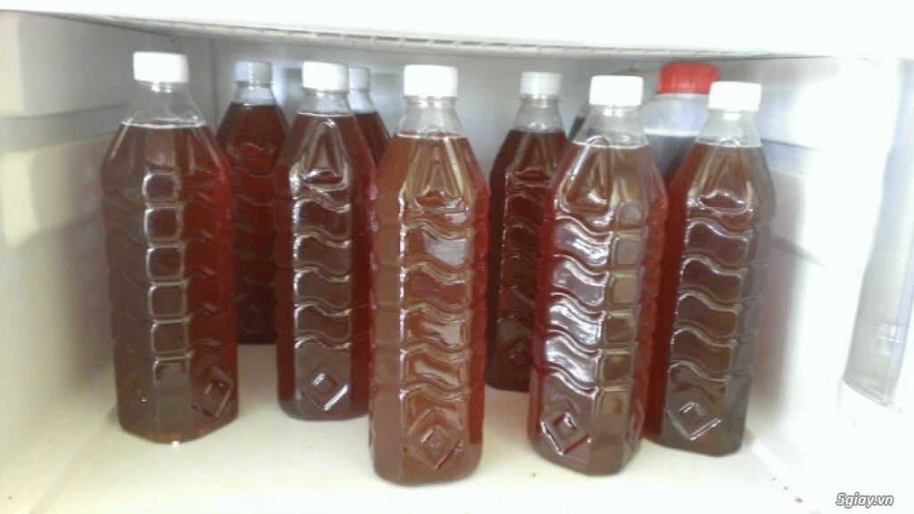 Mật ong từ hoa cà phê và cây tràm - 3