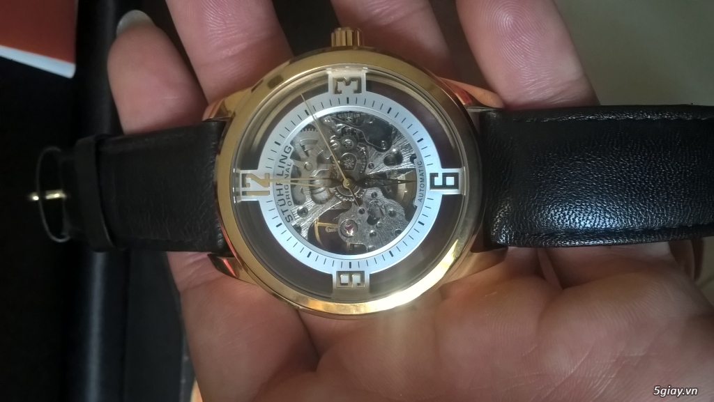 Orient Rally và Stuhrling - 8