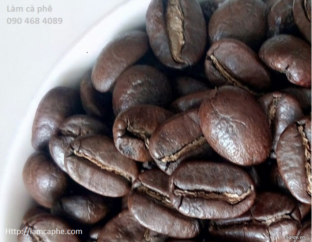 Cà phê hạt robusta rang mộc chế phin, pha máy cung cấp giá sỉ hcm - 1
