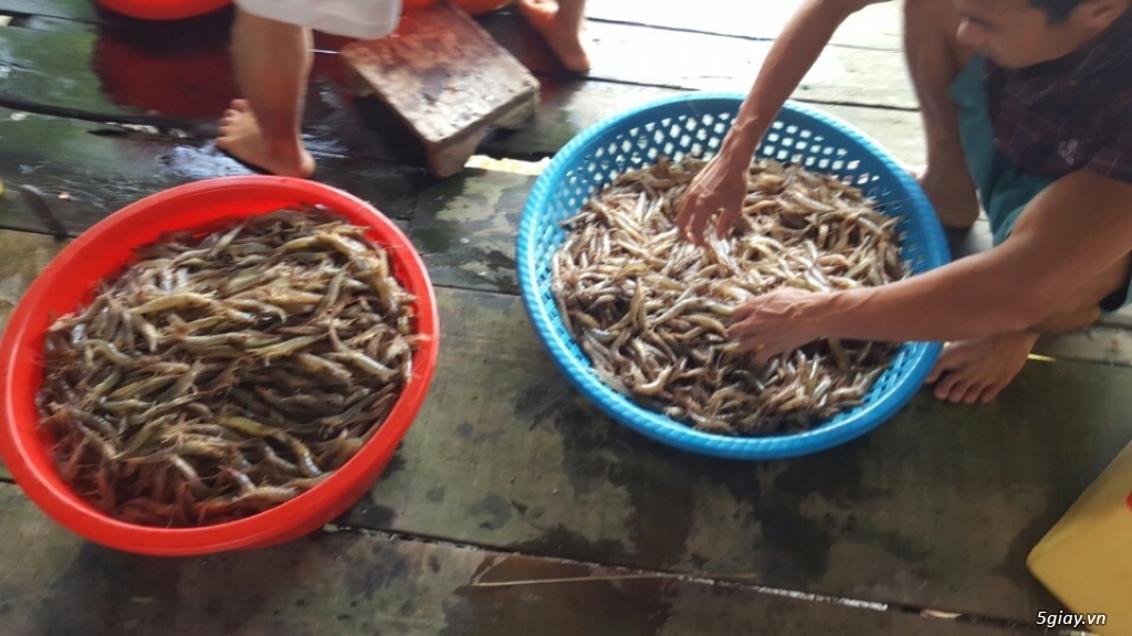 Một số đặc sản khô cá đồng dân dã, tự nhiên. - 15