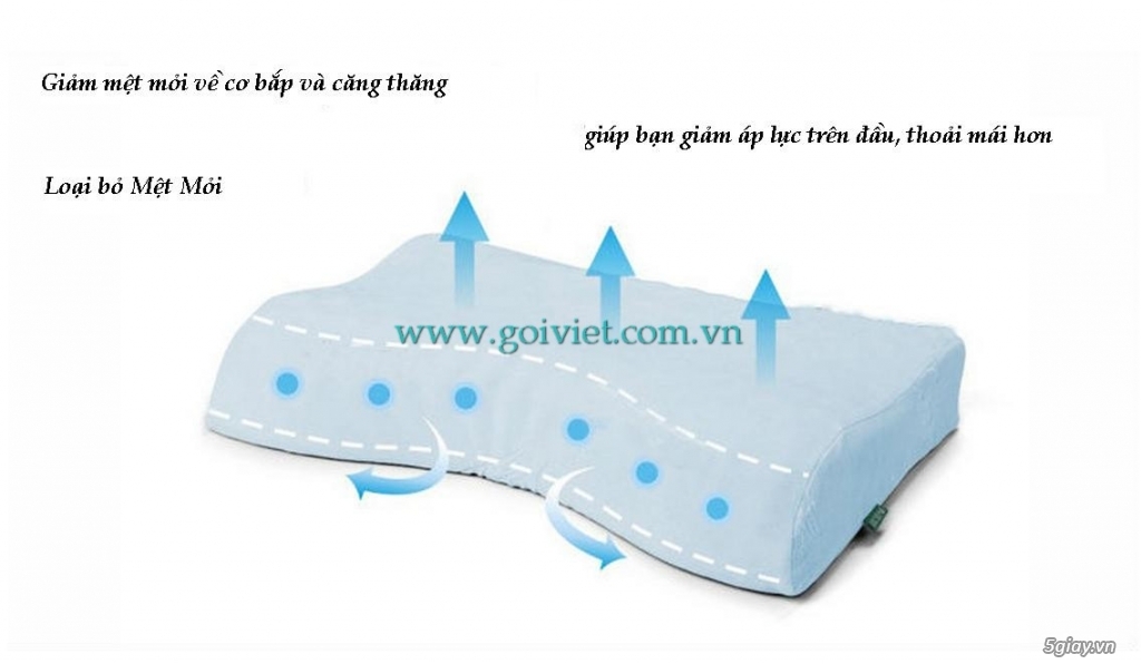 gối cho người mất ngủ - 1