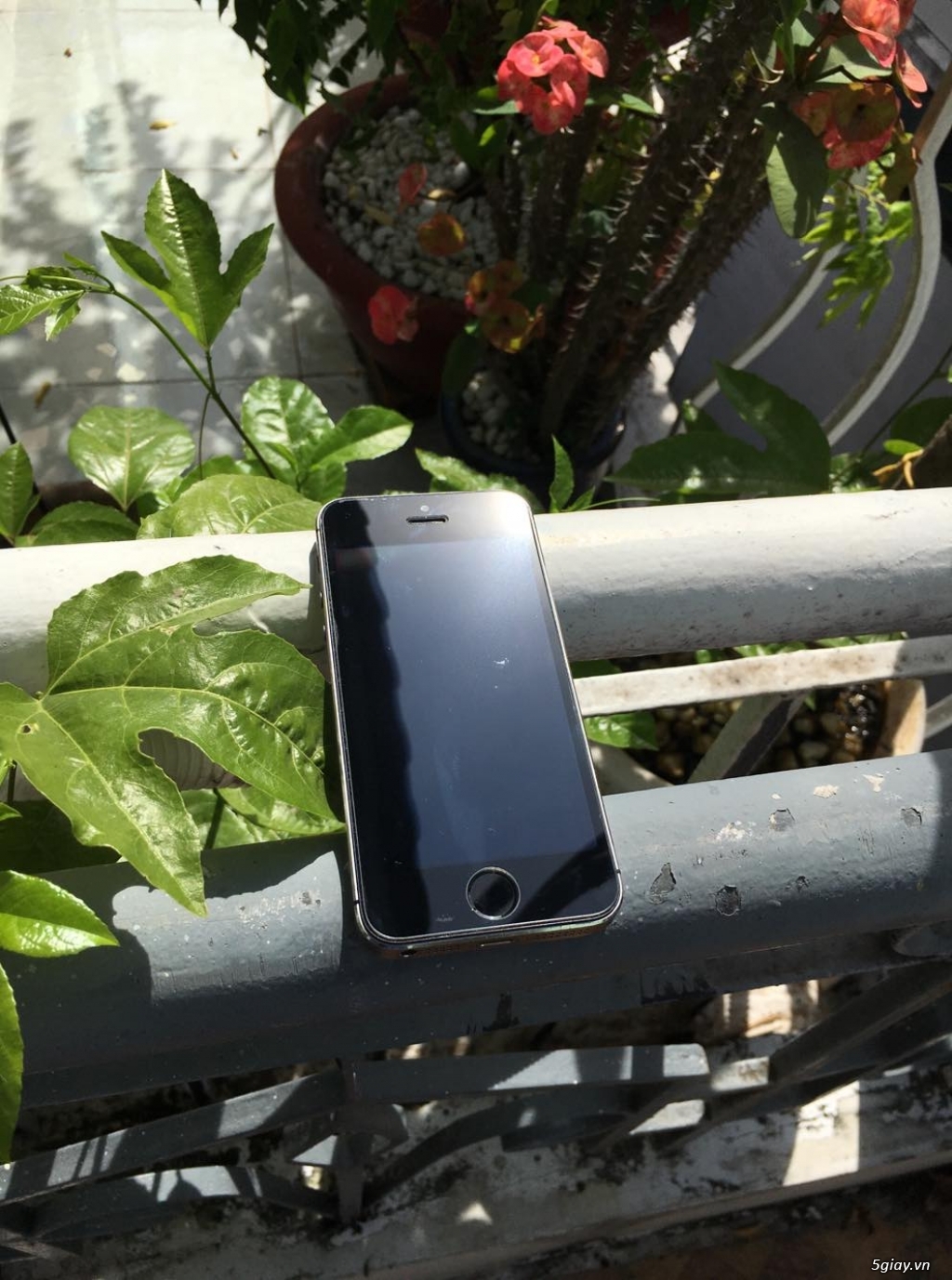 iphone 5s lock 16G đen