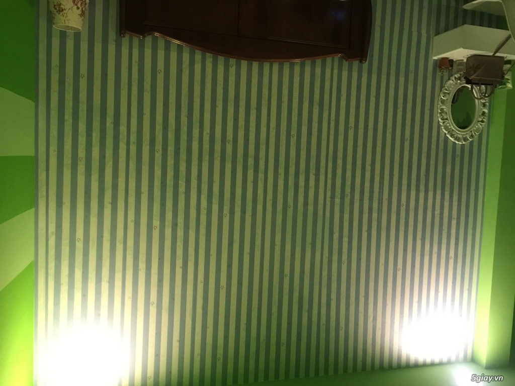 Giấy dán tường rẻ nhất SG - 4