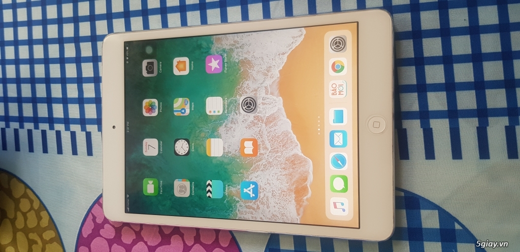 HCM-Ipad mini 2, white, 16G, 3.95 tr, zin Keng
