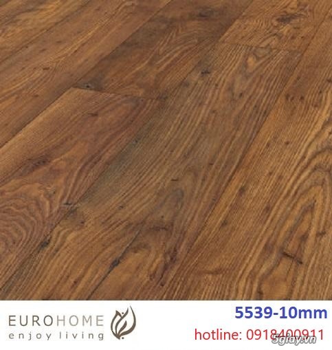 Sàn gỗ cao cấp Eurohome, được nhập khẩu 100% từ Đức - 2