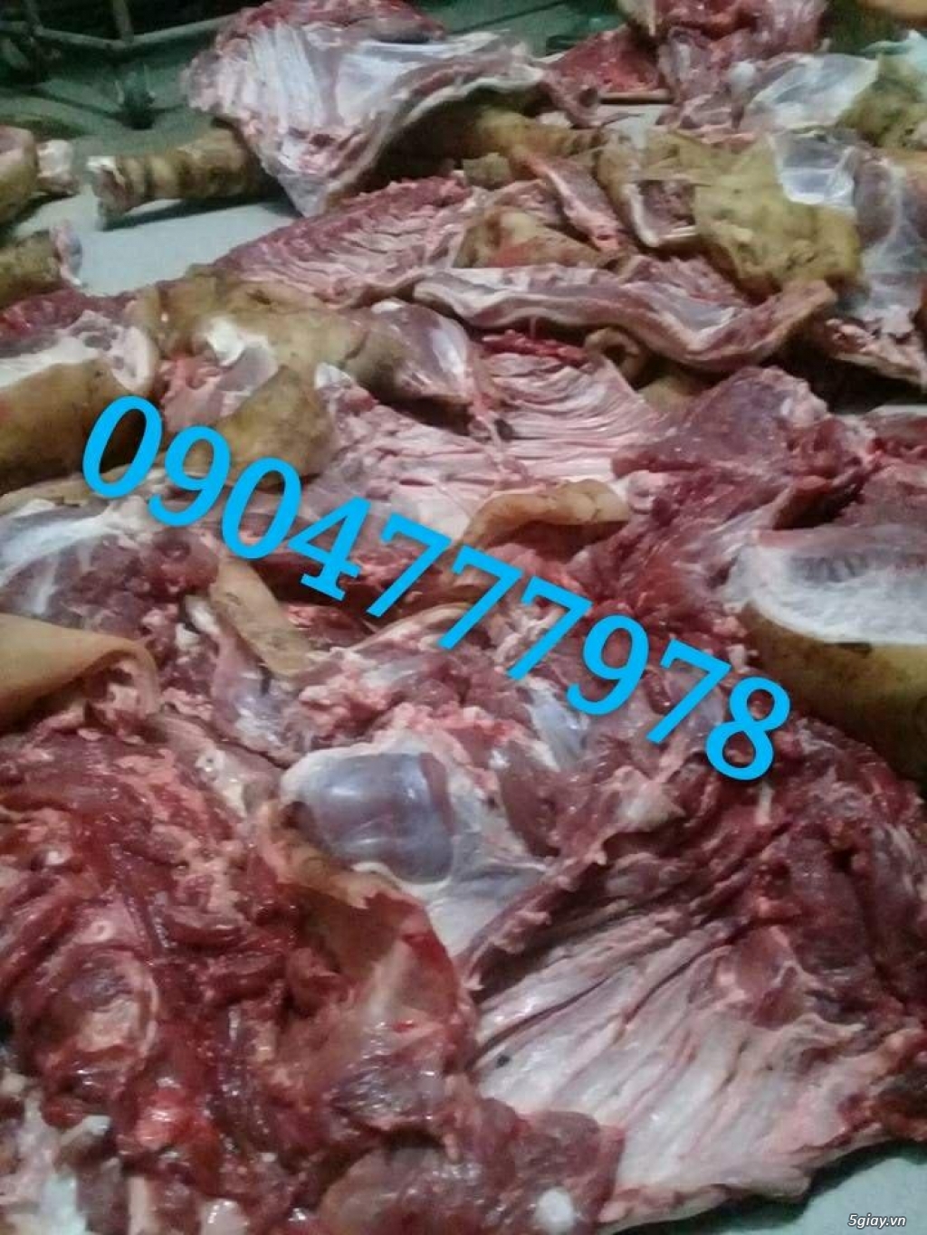 Phân phối giá gốc Giò bê Nghệ An - 4