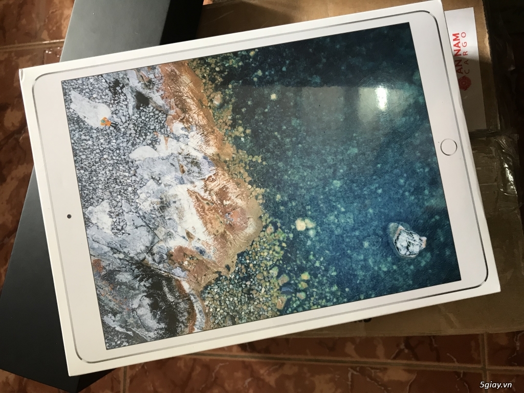Giao lưu iPad mini 1 với iPad pro