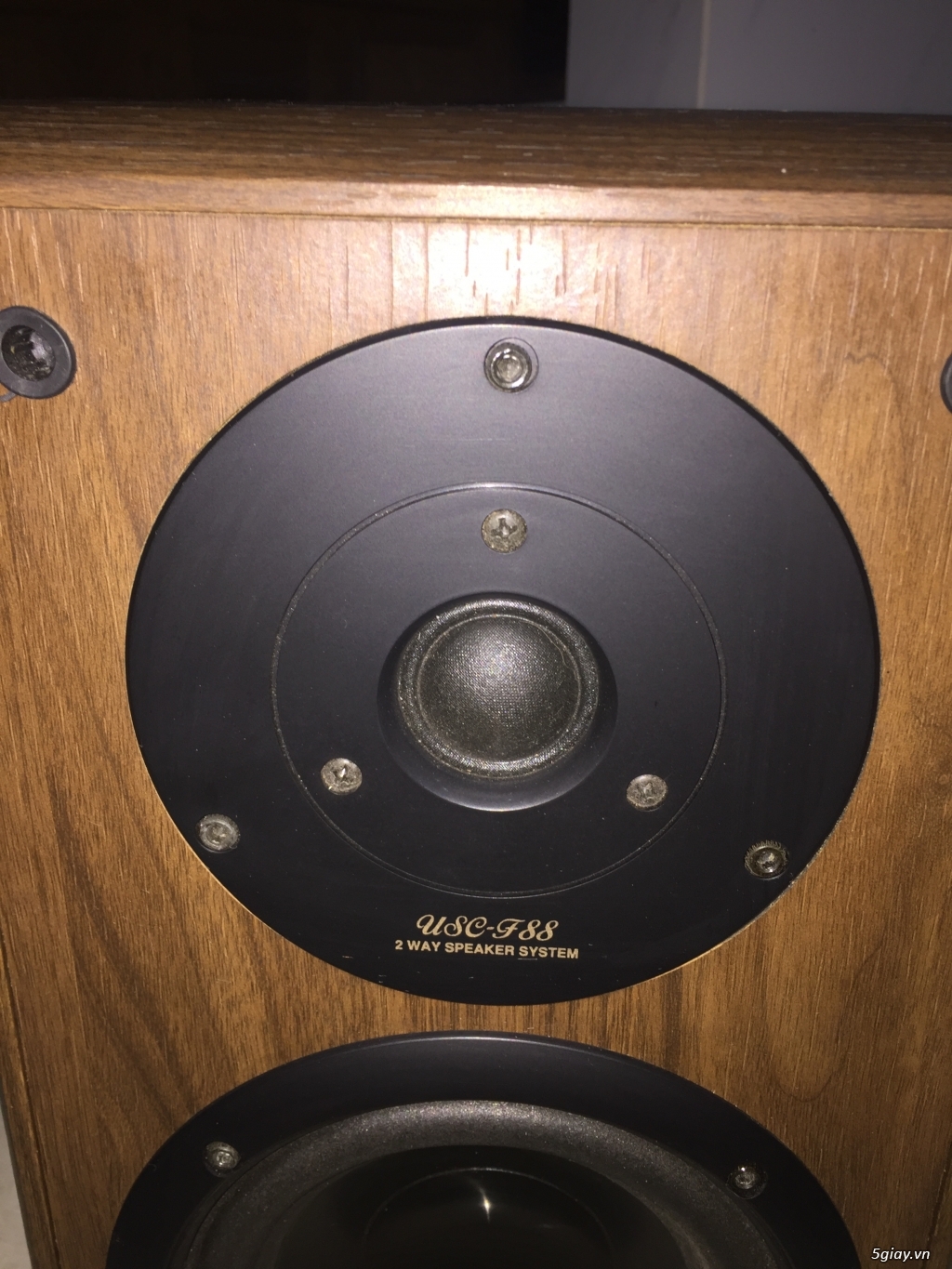 Loa Denon F88 - 4