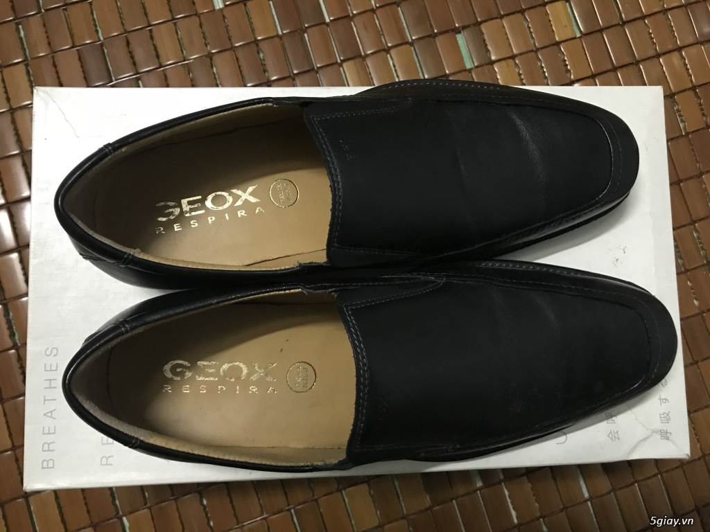 Bán giày tây Geox chính hãng, mới tinh, giá rẻ - 3