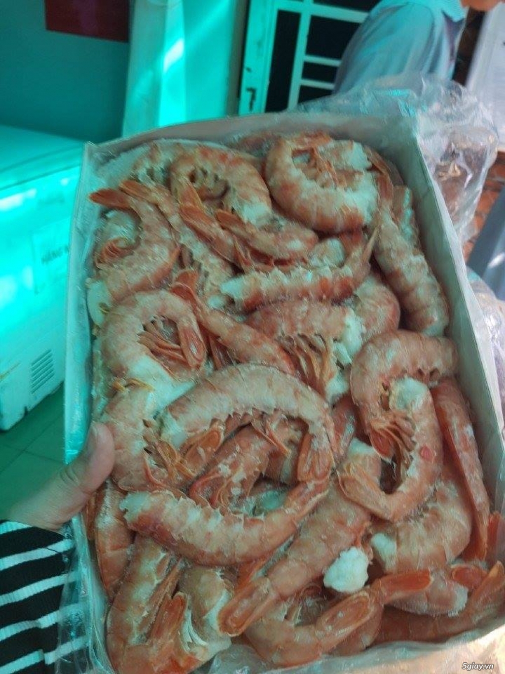 thực phẩm tươi sống đông lạnh giá tốt - 3