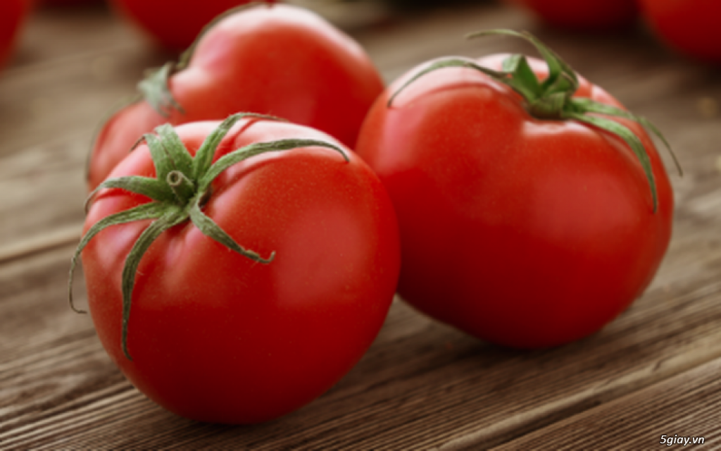 Chuyên cung cấp cà chua số lượng lớn trên cả nước - 1