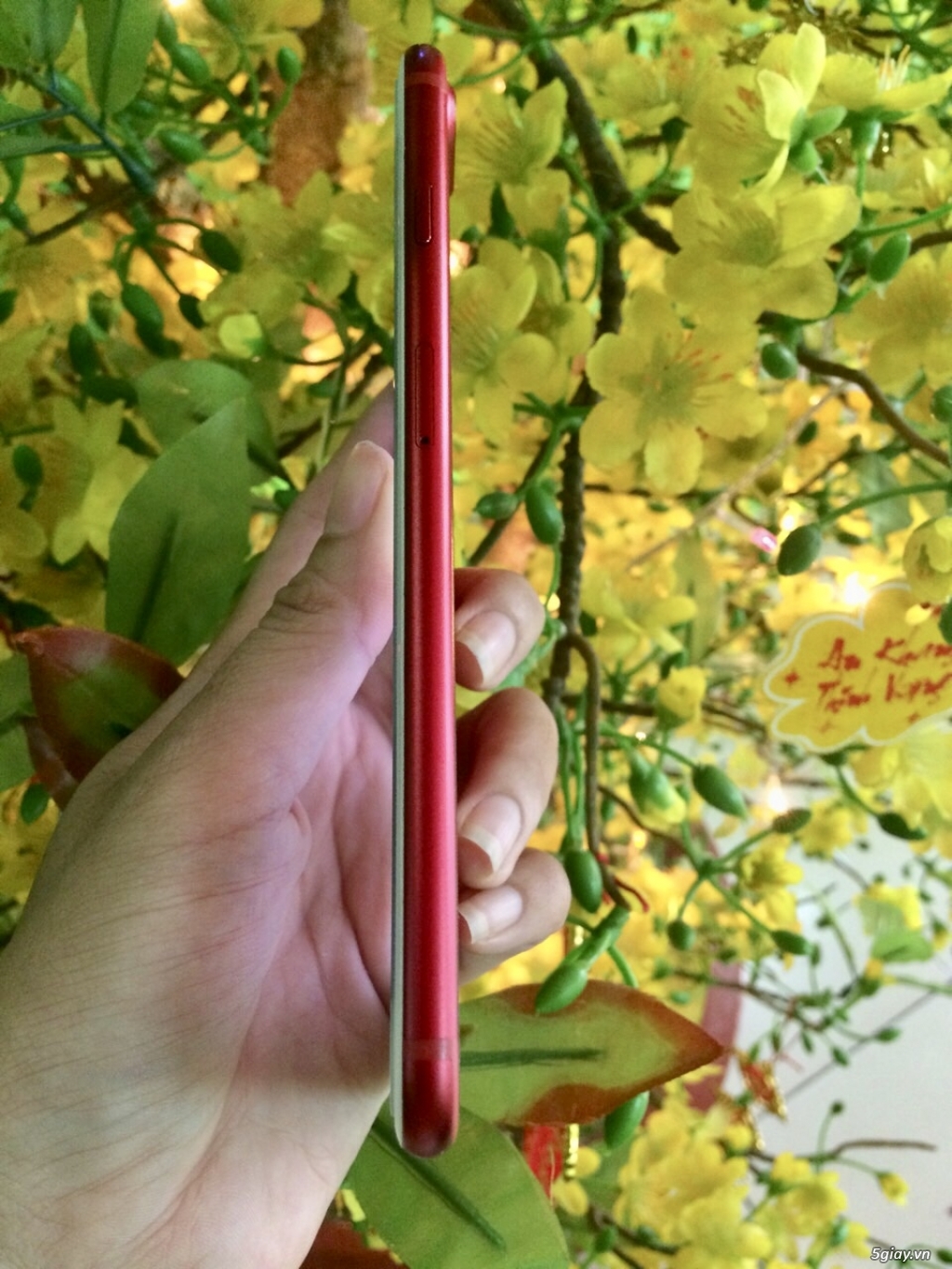 Cần bán iphone 7plus red 128G - 1