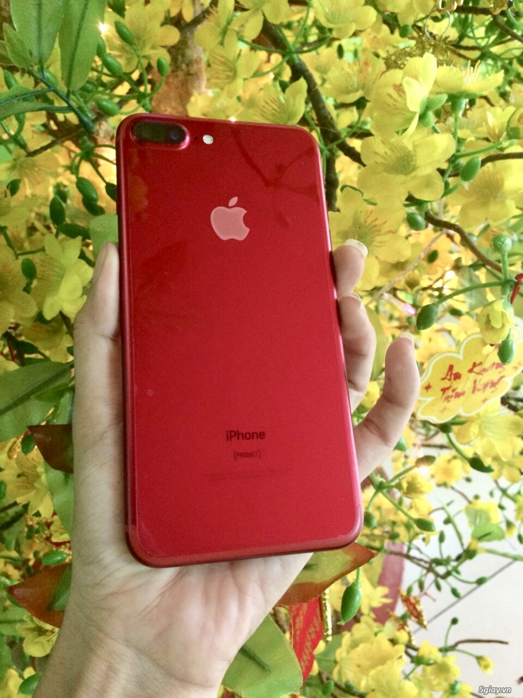 Cần bán iphone 7plus red 128G