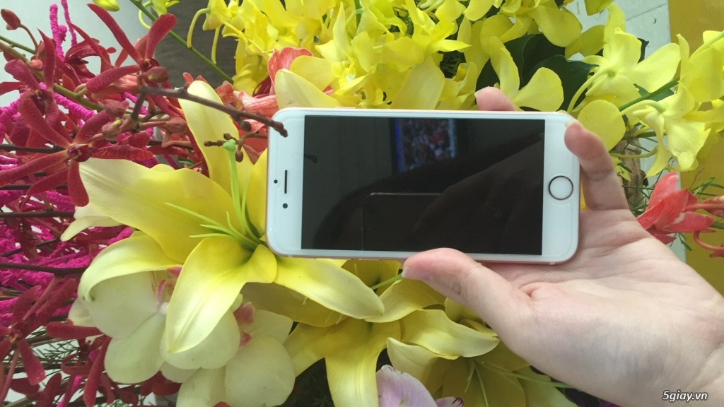 Iphone 6S Rose Gold 128gb giá tốt - 3