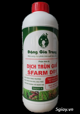 Sử dụng phân trùn quế, dịch trùn quế hiệu quả