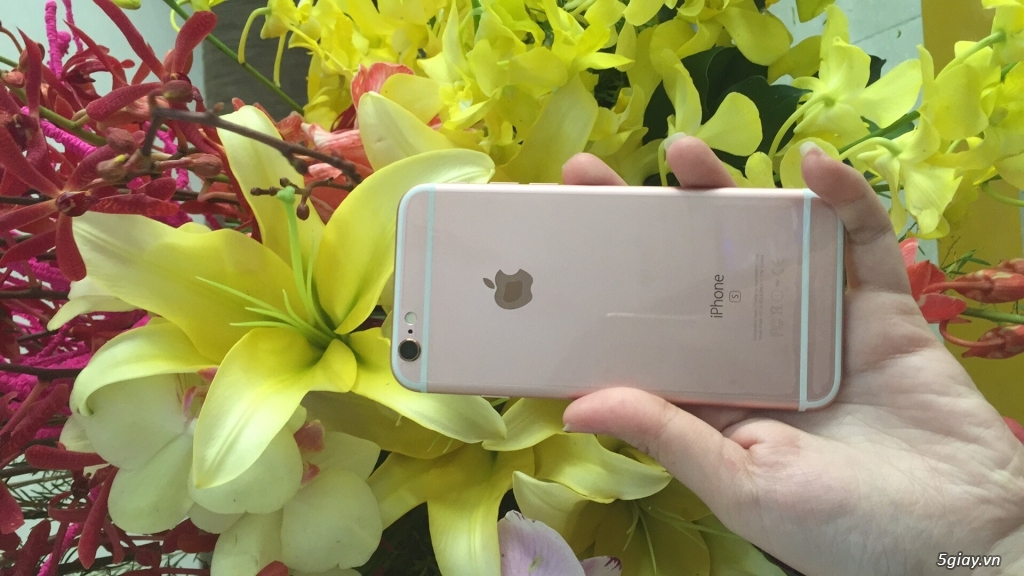 Iphone 6S Rose Gold 128gb giá tốt