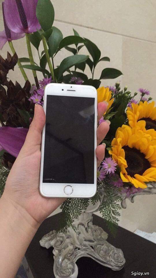 Iphone 6S Silver 64gb xài kĩ máy đẹp - 1