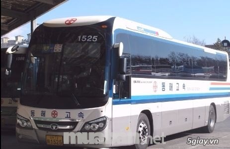 TT 850TR-Giao ngay-Xe khách cao cấp Daewoo BH 116SF, 47chỗ- ĐKĐK ngay