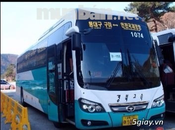 TT 850TR-Giao ngay-Xe khách cao cấp Daewoo BH 116SF, 47chỗ- ĐKĐK ngay - 2